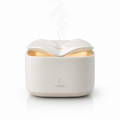 Caelithy™ GroveAura Wood Diffuser